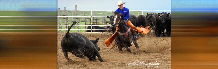 Pinney Livestock